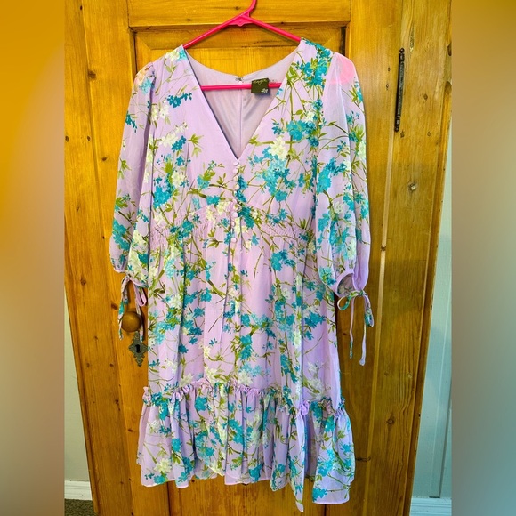 Taylor Floral Dress - Like New Size 2 - Picture 1 of 11